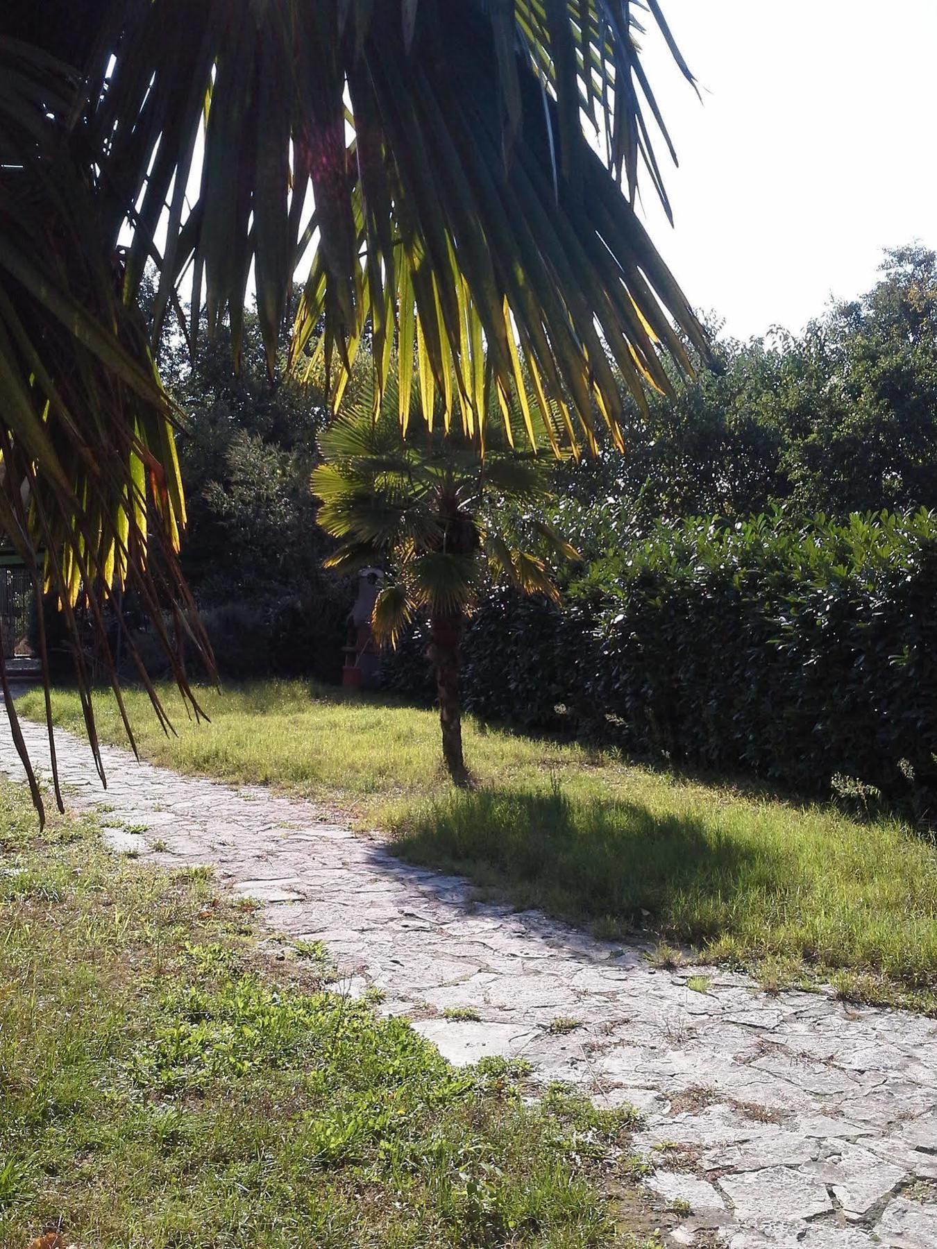 I Giardini Di Capodimonte 2 Bed & Breakfast Napoli Bagian luar foto